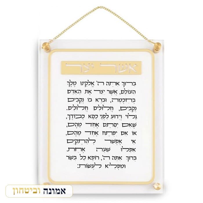 אשר יצר ע.מ אקריליק 29X35 ס"מ — מבט ראשי